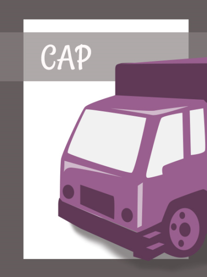 Transporte de viajeros por carretera (obtención CAP)